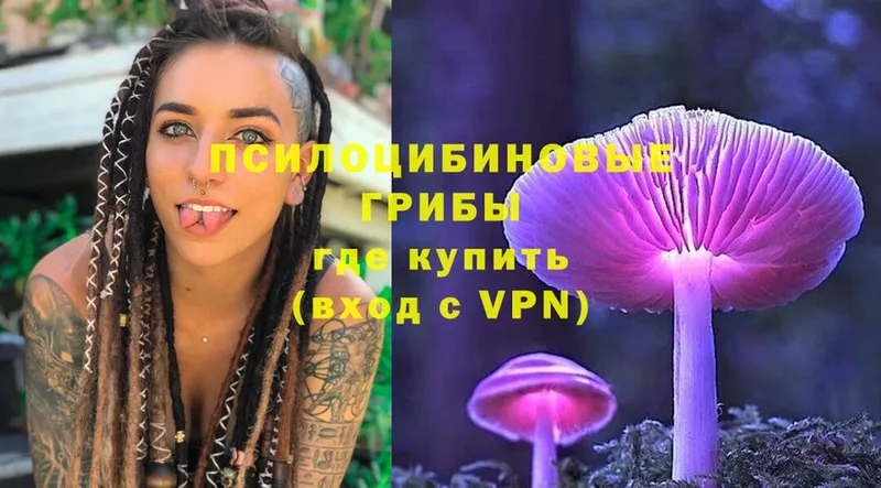 закладки  Бахчисарай  Галлюциногенные грибы Magic Shrooms 