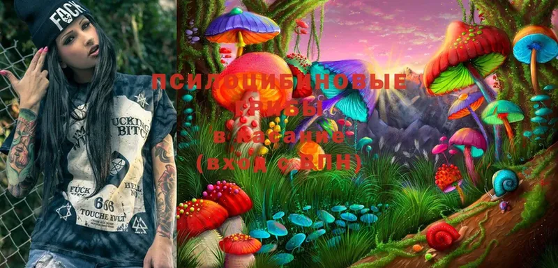 Галлюциногенные грибы MAGIC MUSHROOMS Бахчисарай